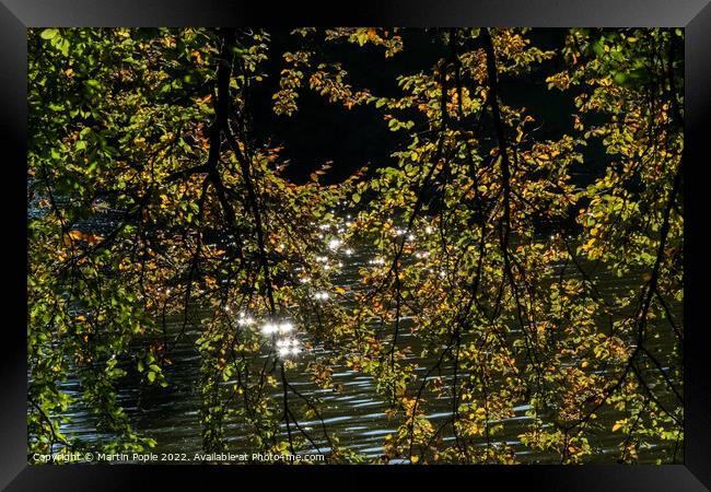 Water sparkling through leaves  Framed Print by Martin Pople