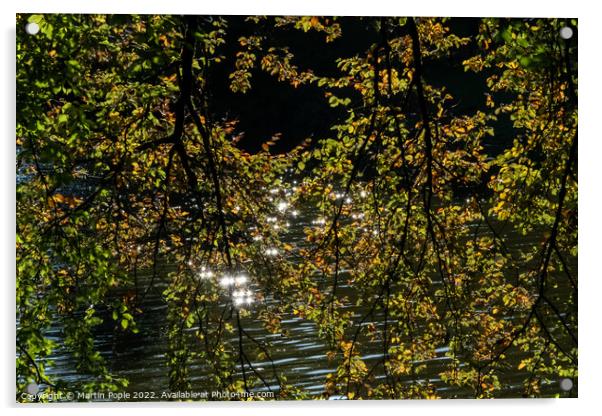 Water sparkling through leaves  Acrylic by Martin Pople