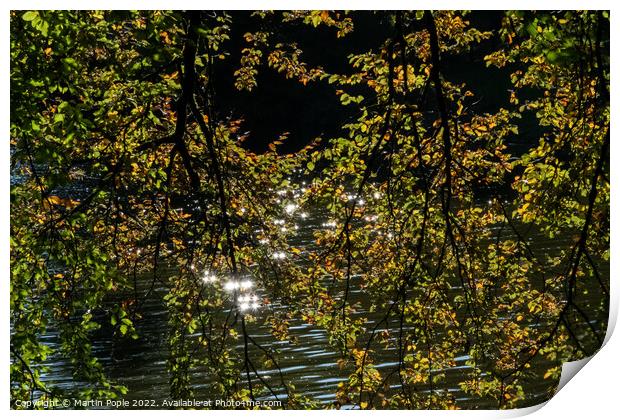 Water sparkling through leaves  Print by Martin Pople