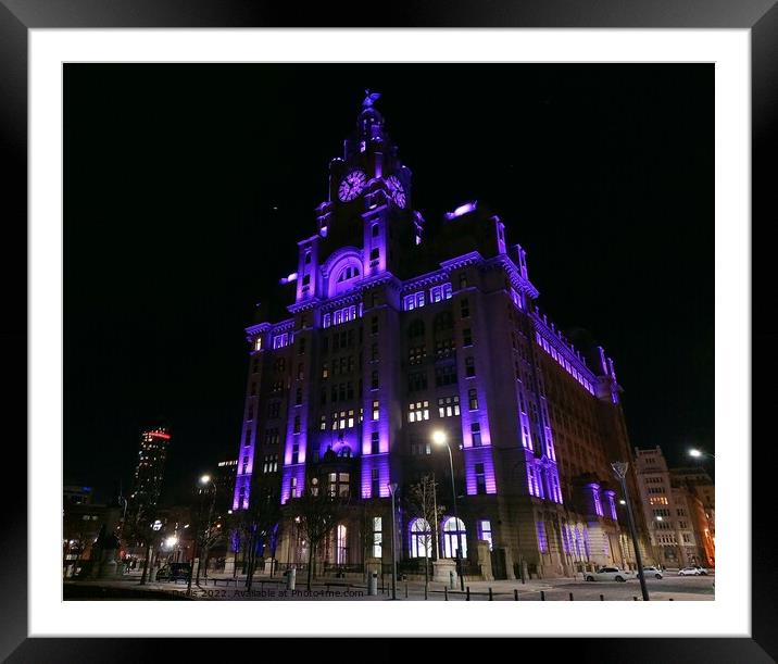 Royal Liver Building at Night Framed Mounted Print by Michele Davis