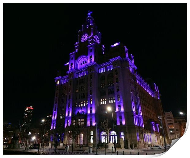 Royal Liver Building at Night Print by Michele Davis
