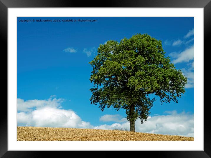 Tree in wheatfield near Abergavennyin August Framed Mounted Print by Nick Jenkins
