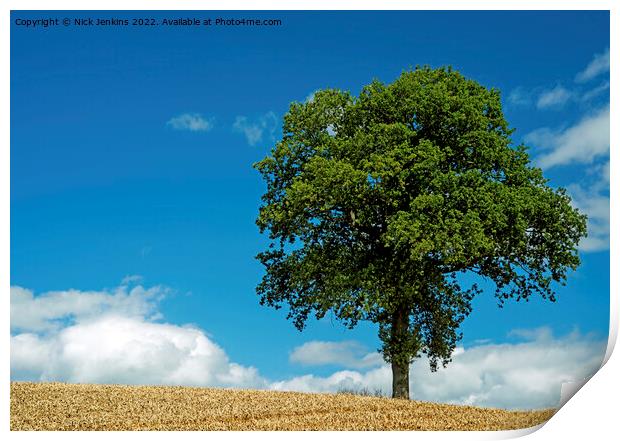 Tree in wheatfield near Abergavennyin August Print by Nick Jenkins