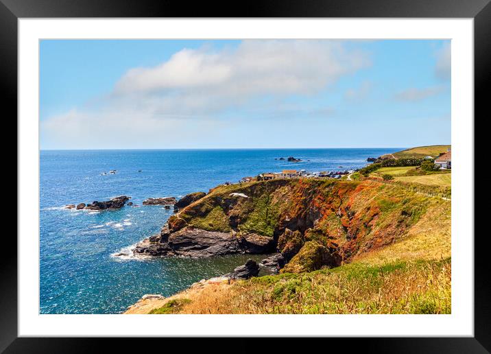 Majestic Lizard Point Framed Mounted Print by Kevin Snelling