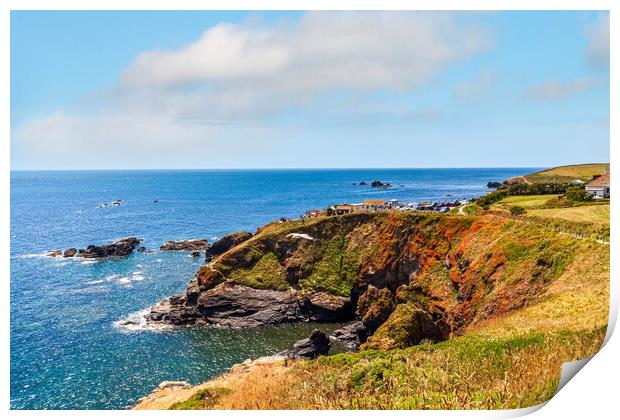 Majestic Lizard Point Print by Kevin Snelling