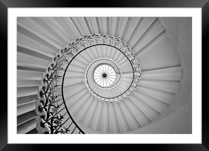 The Tulip Stairs Framed Mounted Print by Matthew Train