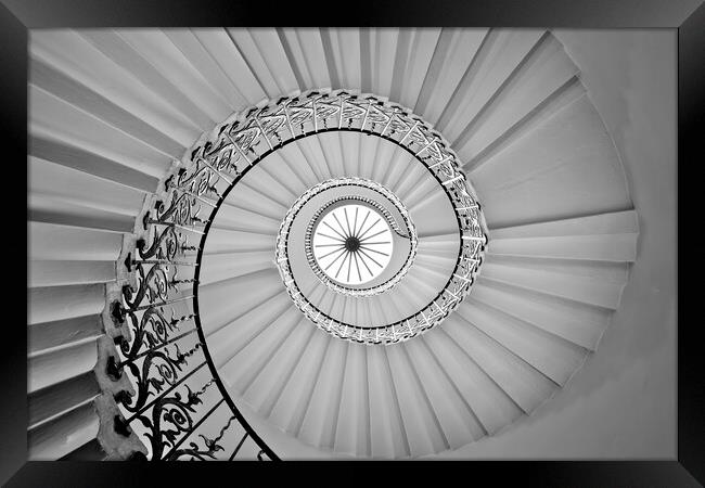 The Tulip Stairs Framed Print by Matthew Train