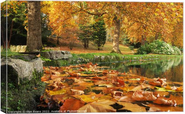 Autumn Leaves Canvas Print by Glyn Evans