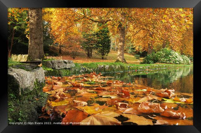Autumn Leaves Framed Print by Glyn Evans
