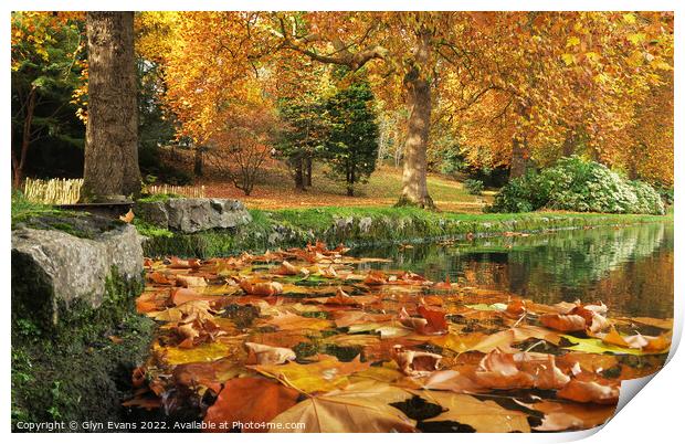 Autumn Leaves Print by Glyn Evans