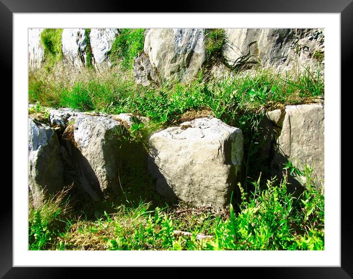 Large stones of Grianan of Aileach Framed Mounted Print by Stephanie Moore