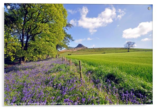 Bluebells under Roseberry topping Acrylic by Robin Whitehead