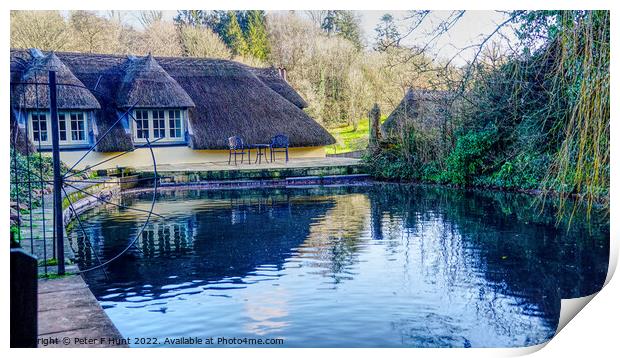 The Mill Pond Cockington Torquay Print by Peter F Hunt