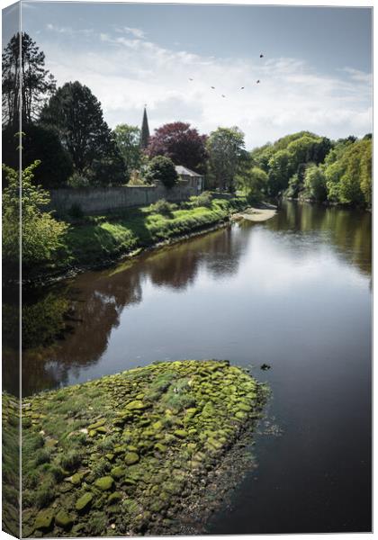 The River Aln at Alnwick, Northumberland Canvas Print by Mark Jones