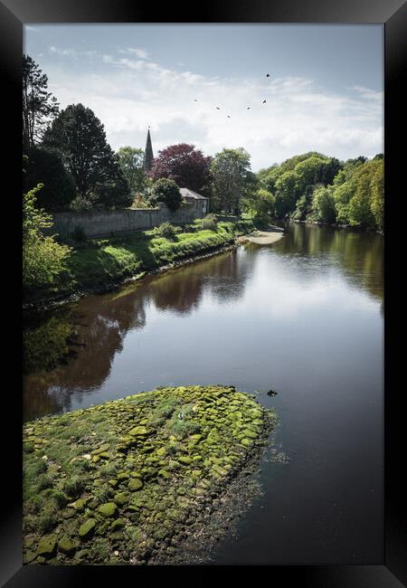 The River Aln at Alnwick, Northumberland Framed Print by Mark Jones