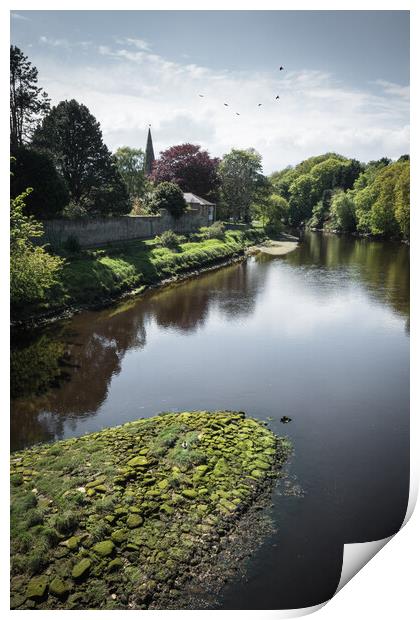 The River Aln at Alnwick, Northumberland Print by Mark Jones