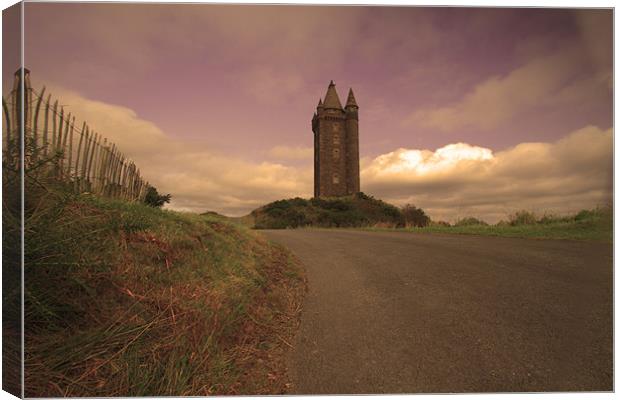 On the Road to Scrabo Tower Canvas Print by pauline morris
