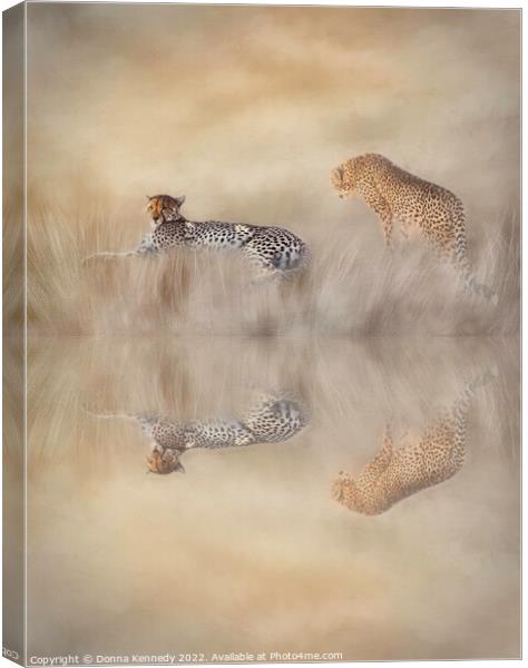 Two Cheetahs Canvas Print by Donna Kennedy