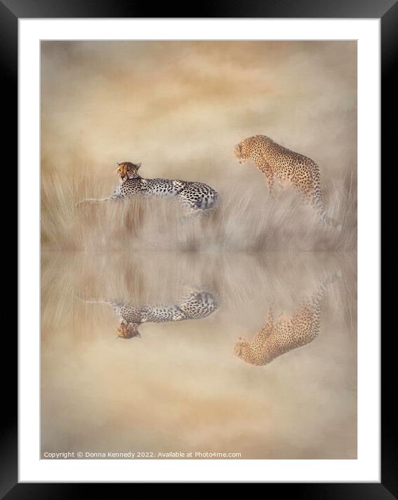 Two Cheetahs Framed Mounted Print by Donna Kennedy