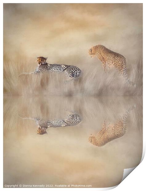 Two Cheetahs Print by Donna Kennedy
