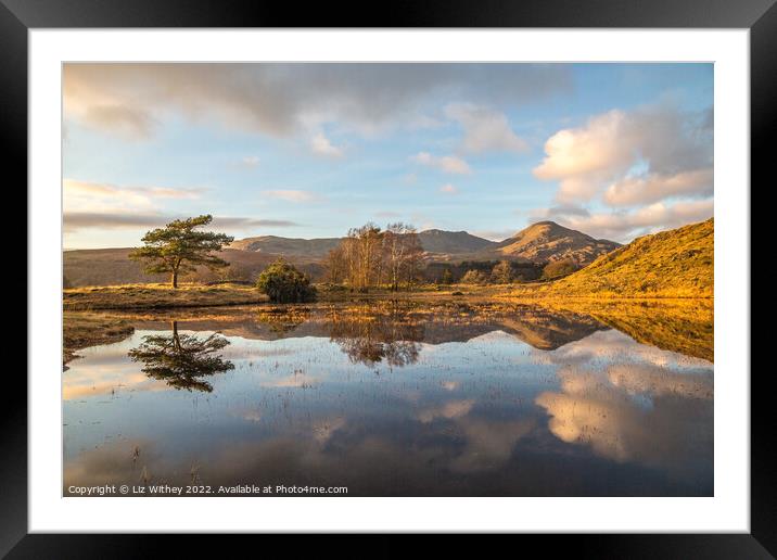 Reflections, Kelly Hall Tarn Framed Mounted Print by Liz Withey
