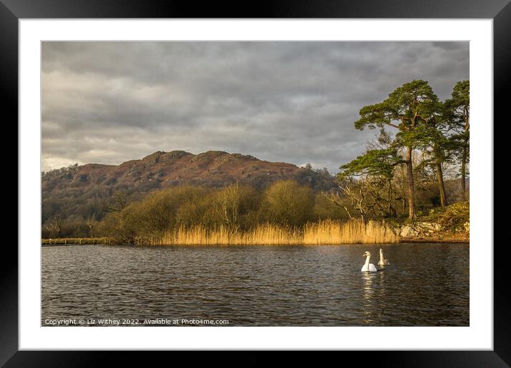 Loughrigg Fell from Waterhead Framed Mounted Print by Liz Withey