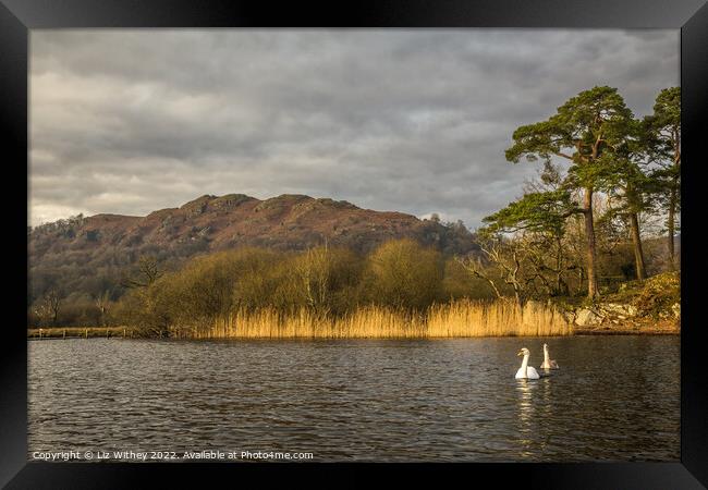 Loughrigg Fell from Waterhead Framed Print by Liz Withey
