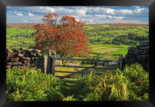 Footpath to Glaisdale on the North York Moors Framed Print by Martyn Arnold
