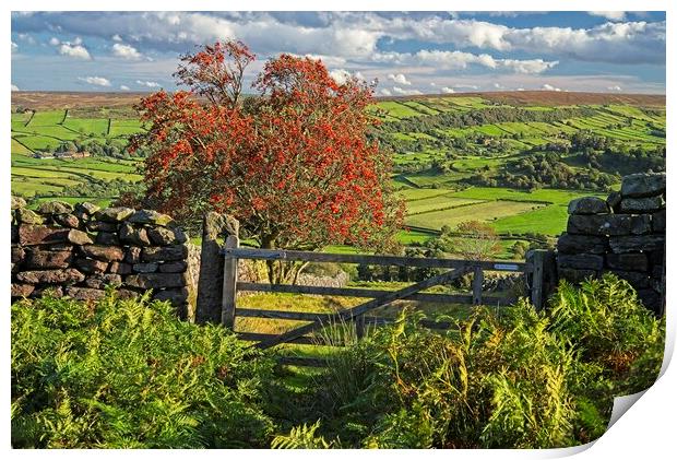 Footpath to Glaisdale on the North York Moors Print by Martyn Arnold