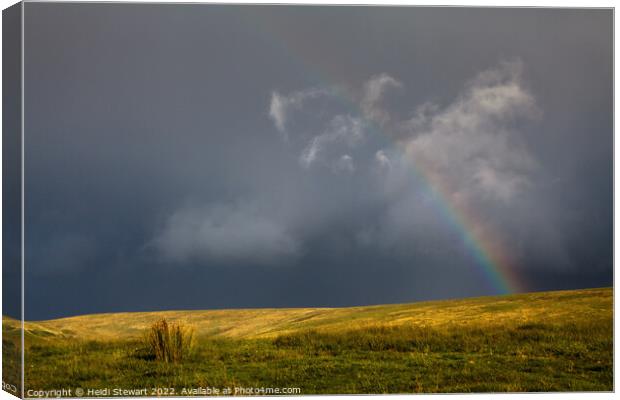 Dark Skies and Rainbow Canvas Print by Heidi Stewart