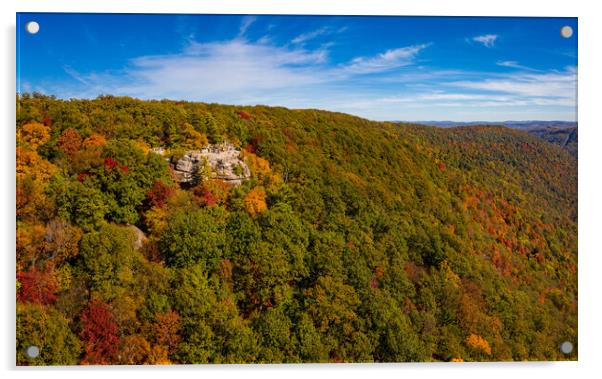 Panorama of Coopers Rock state park overlook over the Cheat Rive Acrylic by Steve Heap