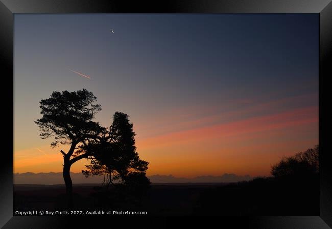 Dawn Sky Framed Print by Roy Curtis