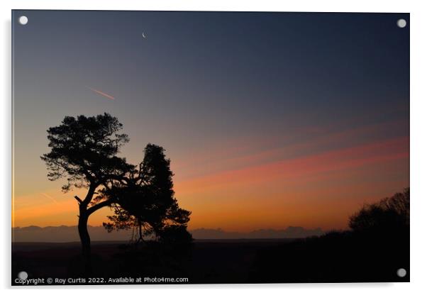 Dawn Sky Acrylic by Roy Curtis