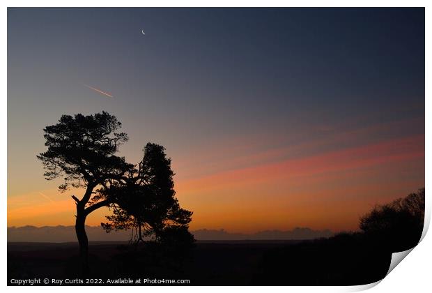 Dawn Sky Print by Roy Curtis