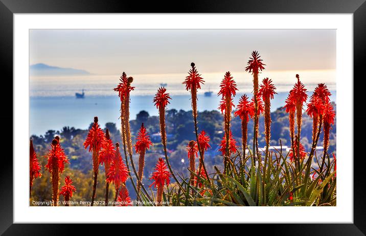 Orange Aloe Cactus Oil Platforms Santa Barbara California Framed Mounted Print by William Perry