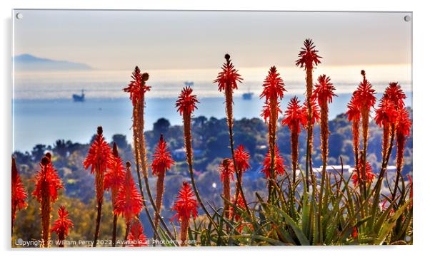 Orange Aloe Cactus Oil Platforms Santa Barbara California Acrylic by William Perry