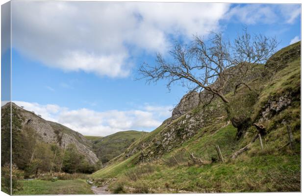 Dovedale in autumn Canvas Print by Jason Wells