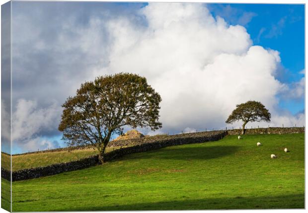 Bryn rhyg Canvas Print by Rory Trappe