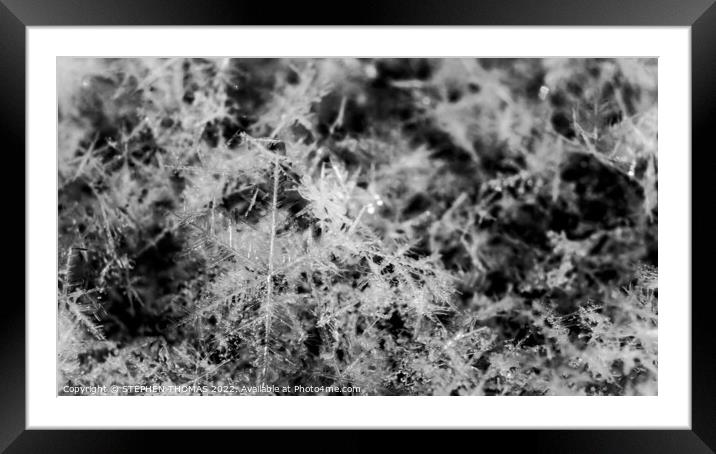 Snowflakes - Black and White Macro Photo Framed Mounted Print by STEPHEN THOMAS