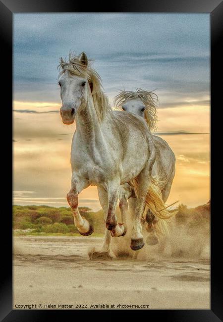 Chase on the Beach 3 horses Portrait dark Framed Print by Helkoryo Photography