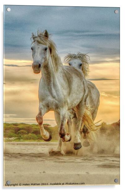 Chase on the Beach 3 horses Portrait dark Acrylic by Helkoryo Photography