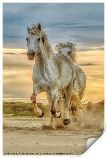Chase on the Beach 3 horses Portrait dark Print by Helkoryo Photography