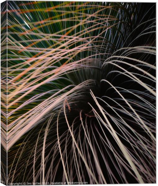 Foliage Canvas Print by Jim Butler