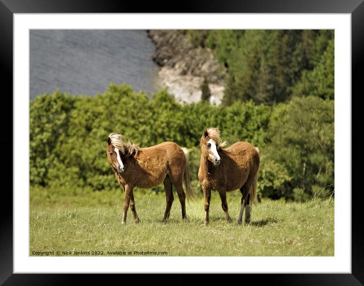 Two Horses above Llyn Brianne Reservoir Mid Wales  Framed Mounted Print by Nick Jenkins