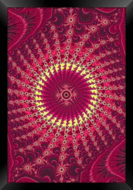 Psychedelic Sun Framed Print by Vickie Fiveash