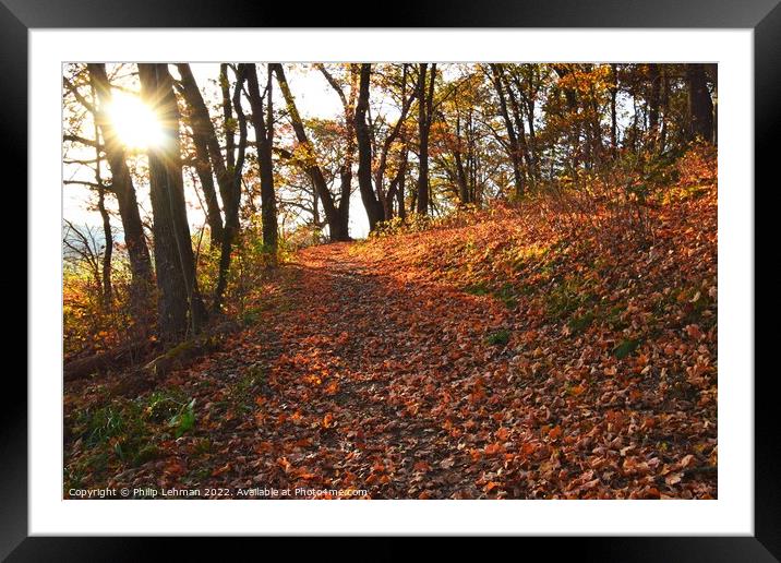Fall Colors Donald Park 2B Framed Mounted Print by Philip Lehman