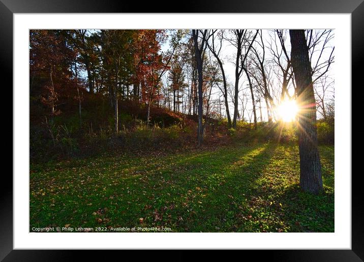 Fall Colors Donald Park 1 (A) Framed Mounted Print by Philip Lehman