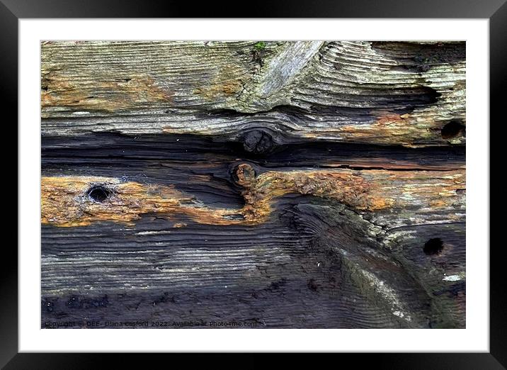 Timber Times 31a                         Framed Mounted Print by DEE- Diana Cosford