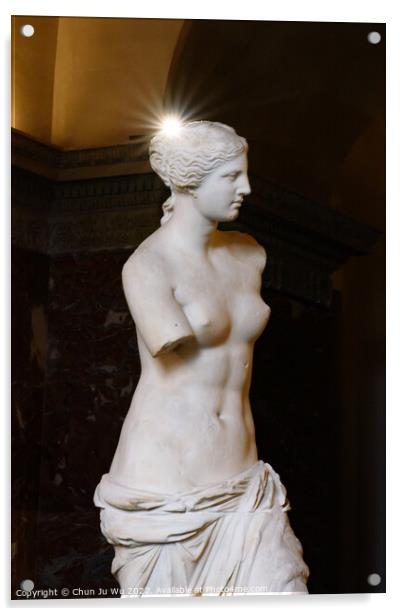 Venus de Milo (Aphrodite of Milos), one of the most famous ancient Greek sculpture, on display at the Louvre Museum in Paris, France Acrylic by Chun Ju Wu