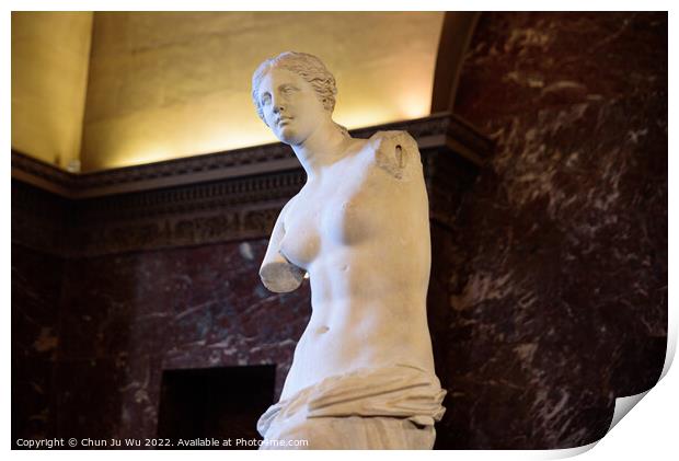Venus de Milo (Aphrodite of Milos), one of the most famous ancient Greek sculpture, on display at the Louvre Museum in Paris, France Print by Chun Ju Wu